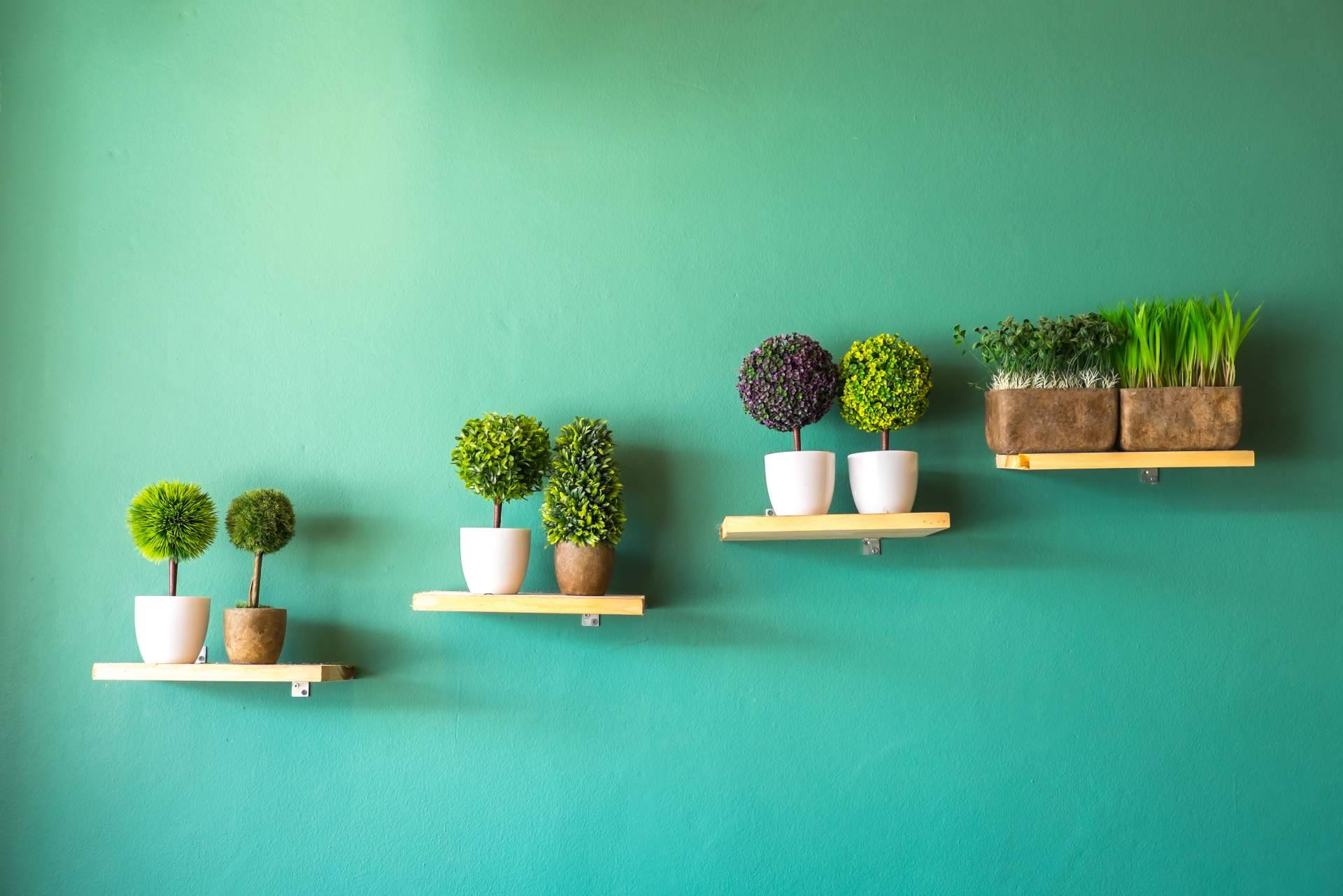 La oportunidad perfecta para comprar plantas artificiales en JardinVertical.es es el Black Friday