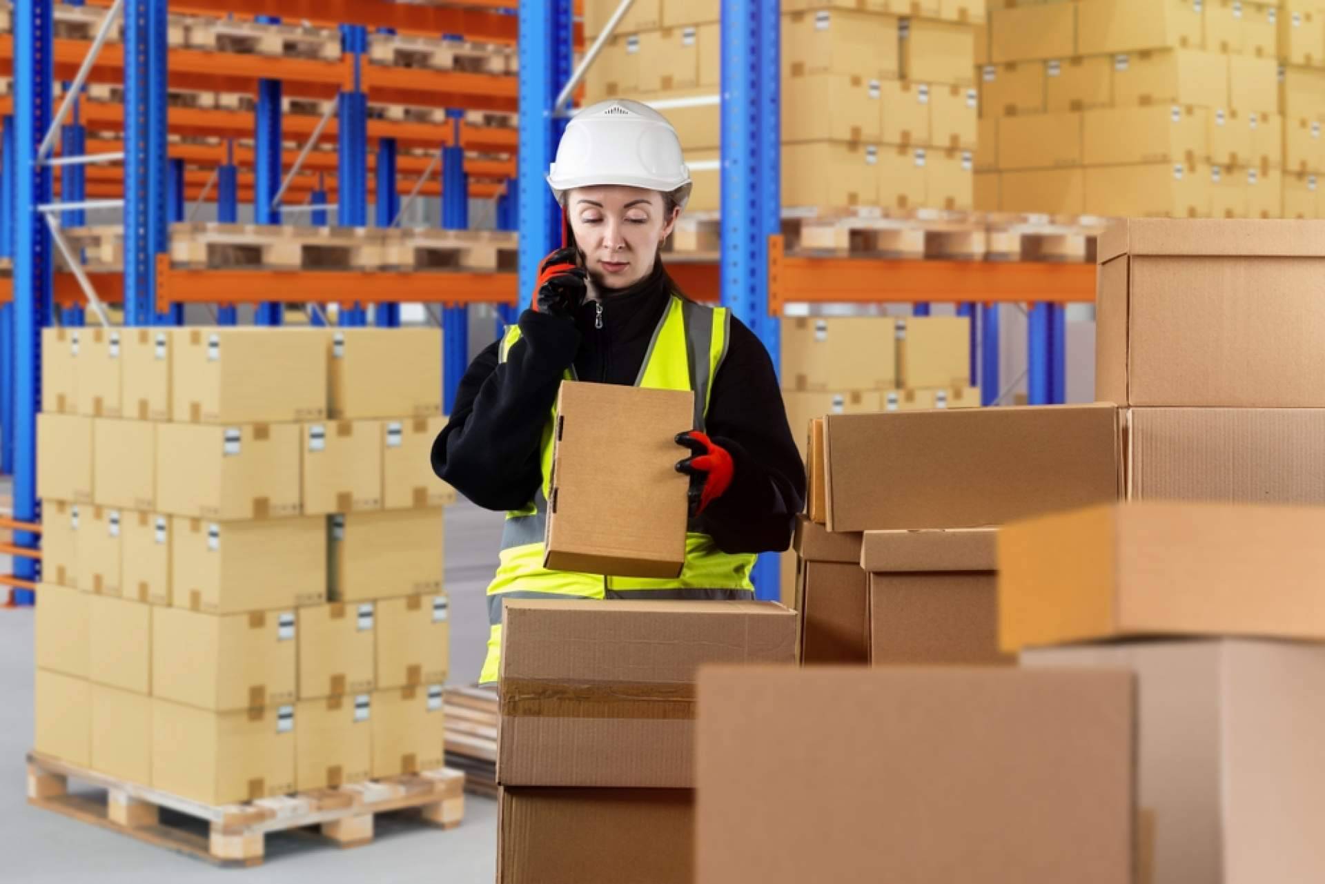 La especialización de Grupajes Alicante, el despacho de aduanas