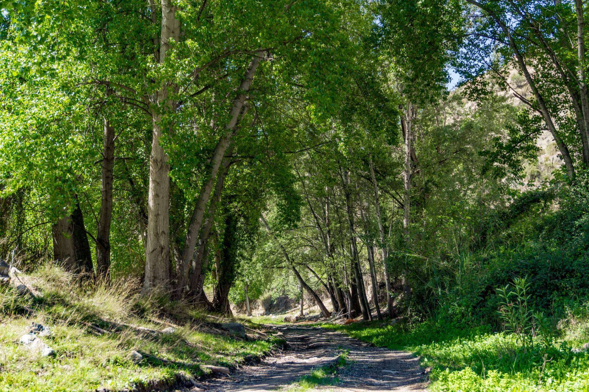 Una experiencia llena de cultura y naturaleza, turismo rural en el Valle del Almanzora (Almería)