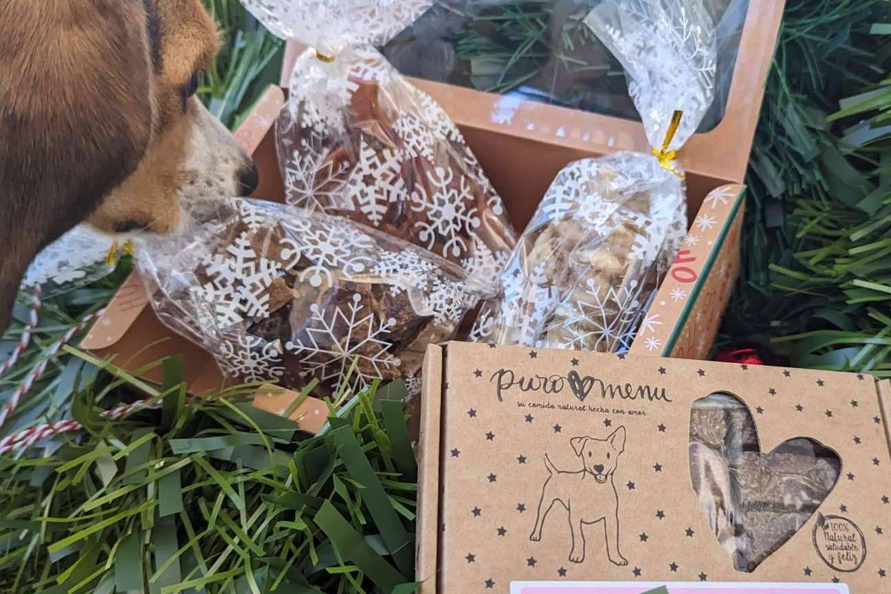 ¿Dónde encontrar el regalo de navidad perfecto para un perro? NaturWild