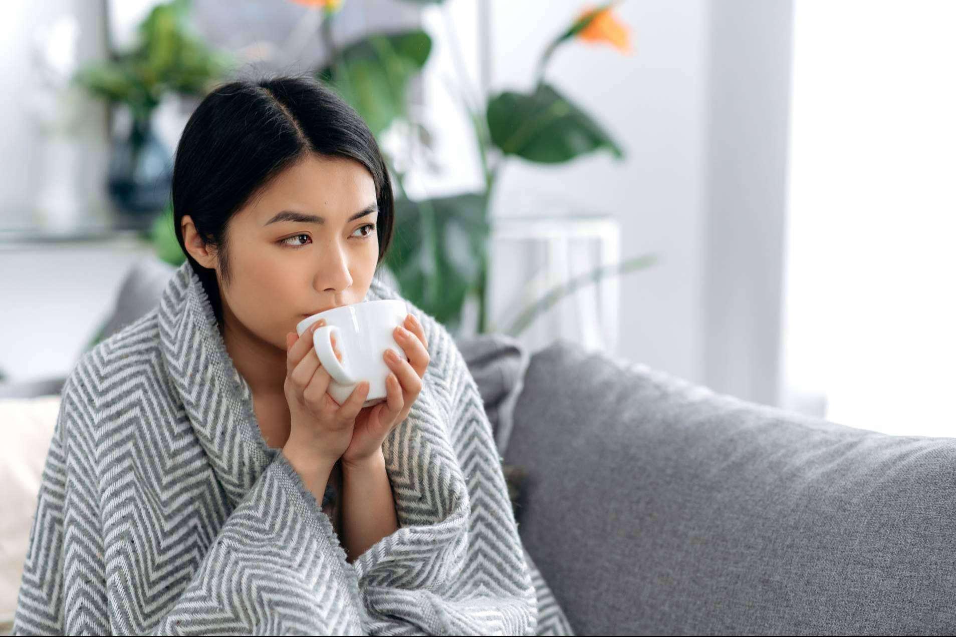 Bonísimo y los 12 beneficios del té verde