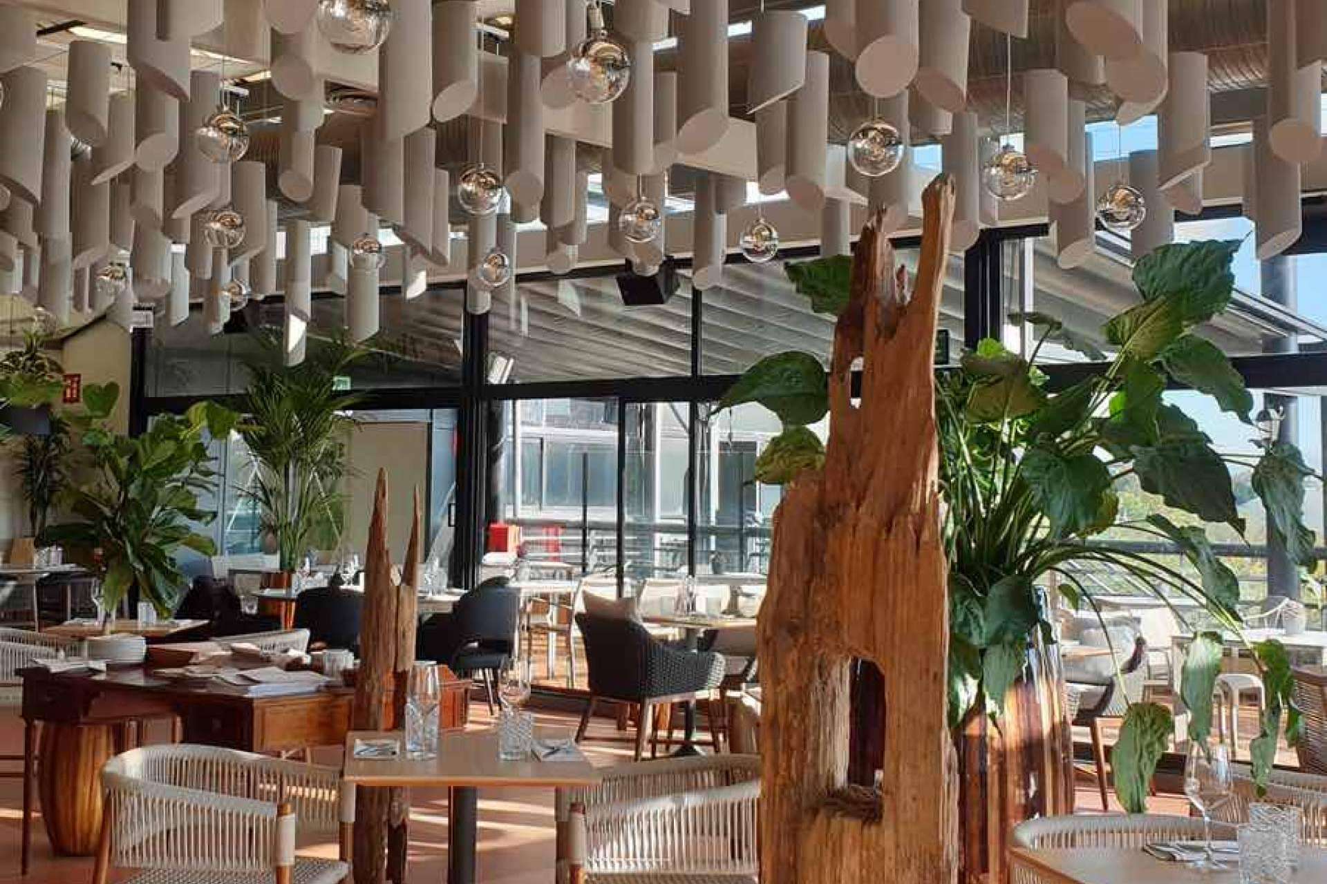 ¿Por qué es importante el bienestar acústico en restaurantes?