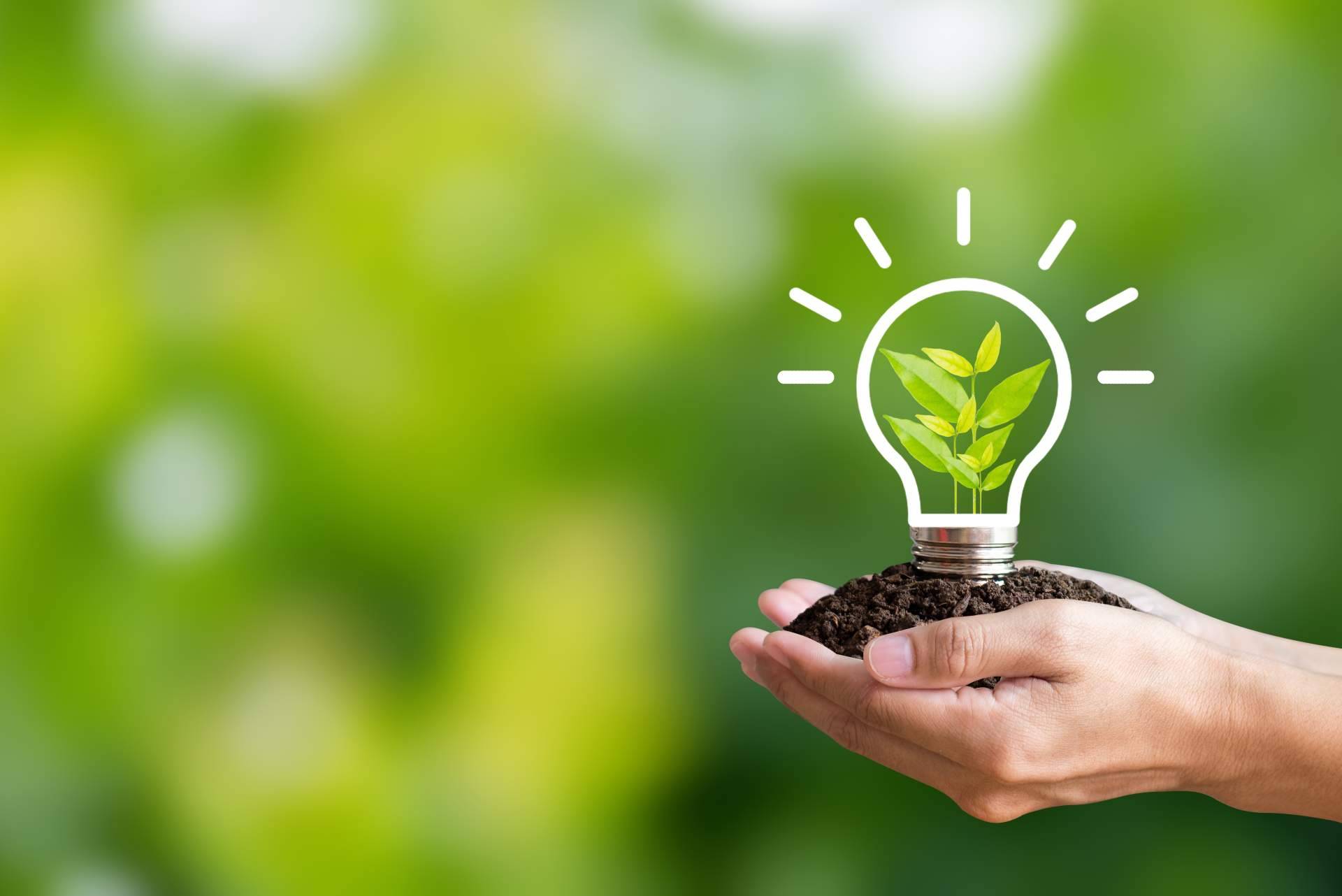 Expertos de AhorraentuLuz, asesoramiento energético gratuito directo en factura