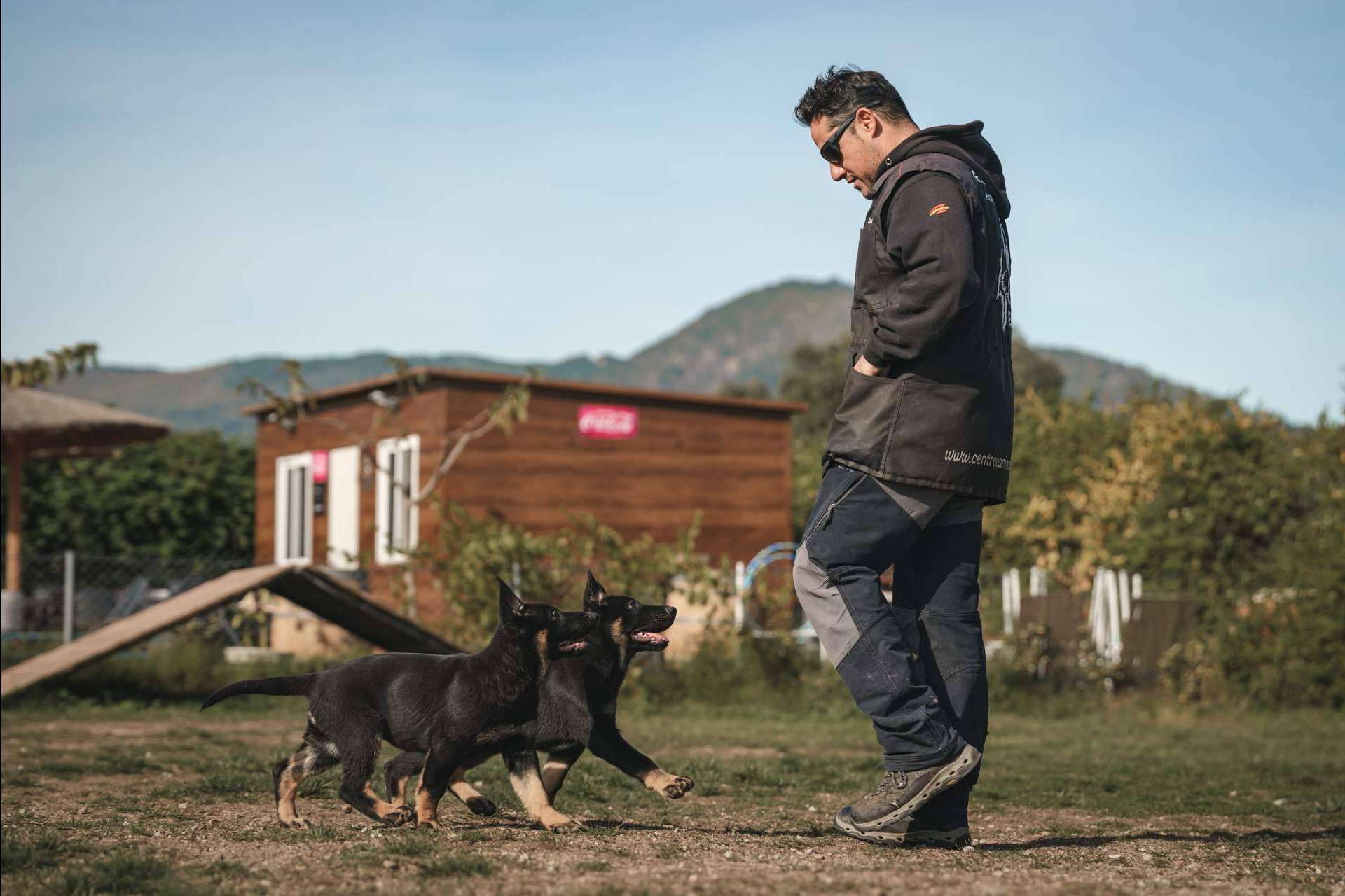 Curso de adiestramiento canino ofrecido por Monte Ida