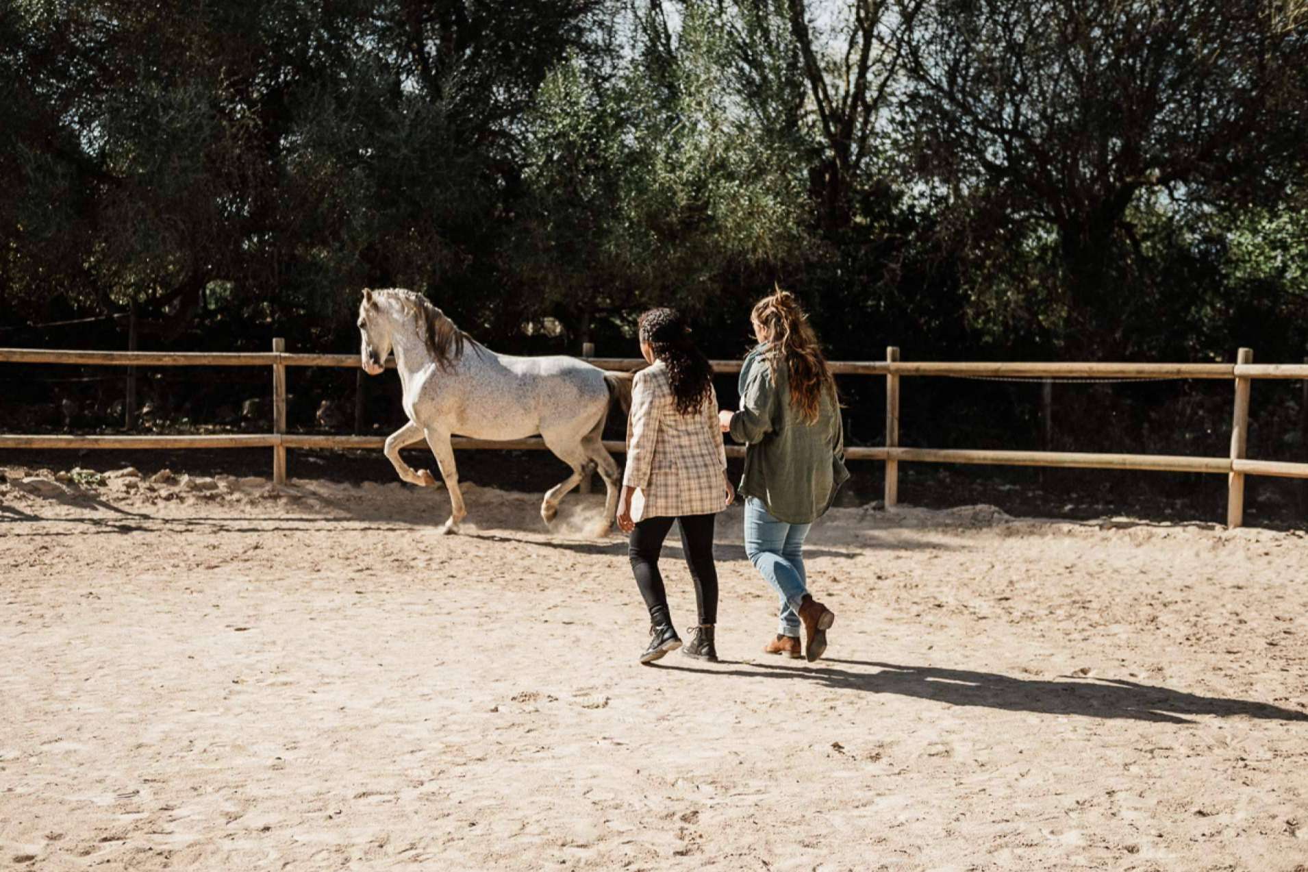 El coaching asistido con caballos para empresas de Son Cavalls