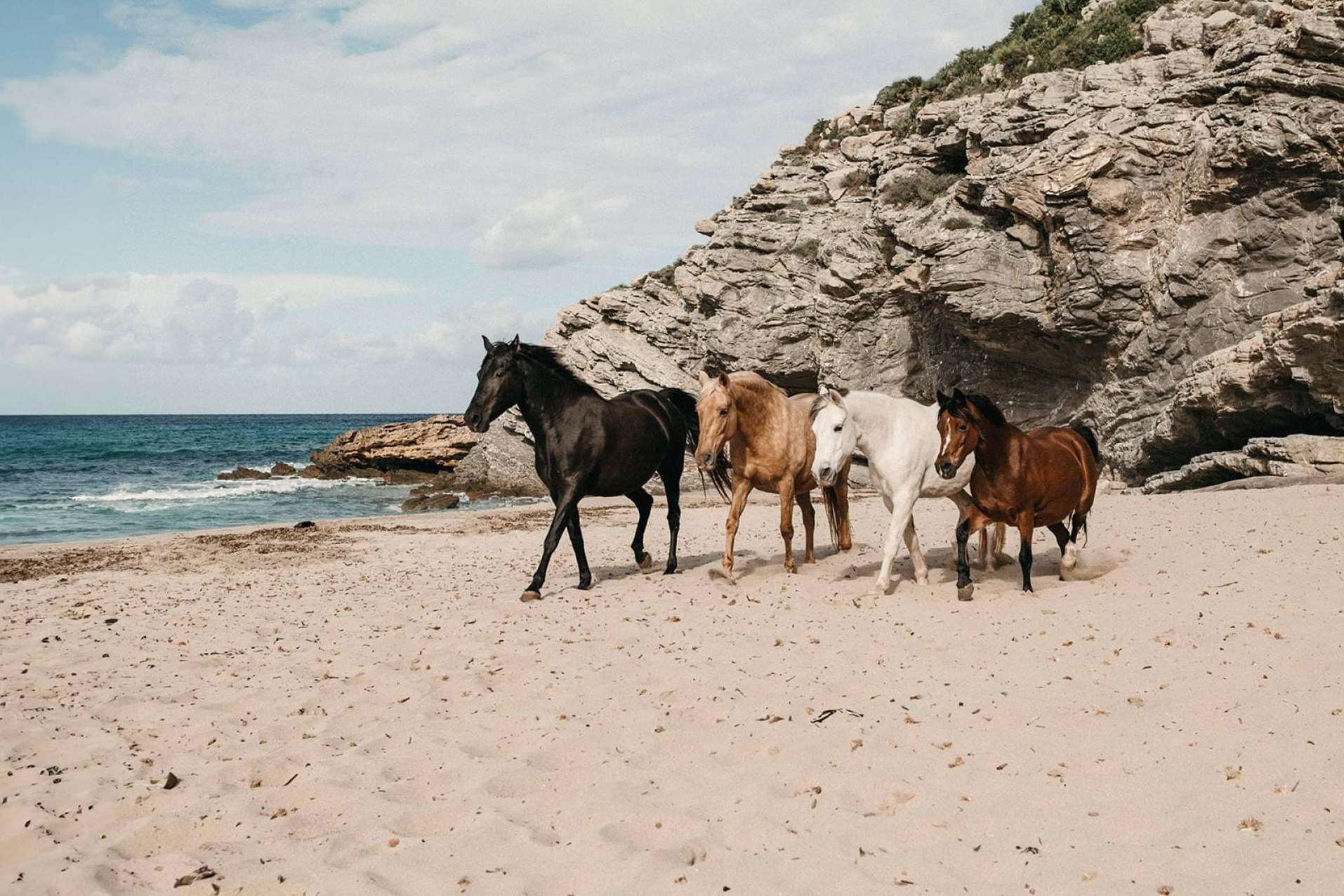 Son Cavalls ofrece coaching asistido de caballos para personas individuales
