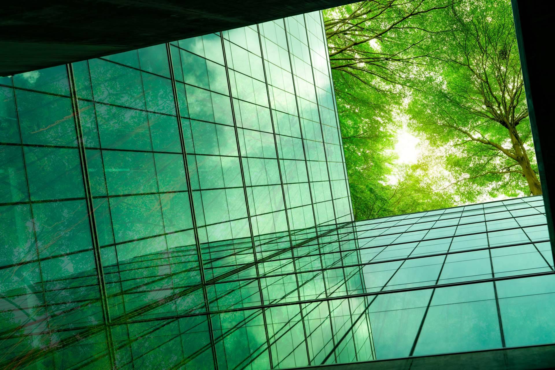 La iniciativa 'El Futuro es Clima' de Demos Lab propone medidas y acciones concretas para superar la crisis climática