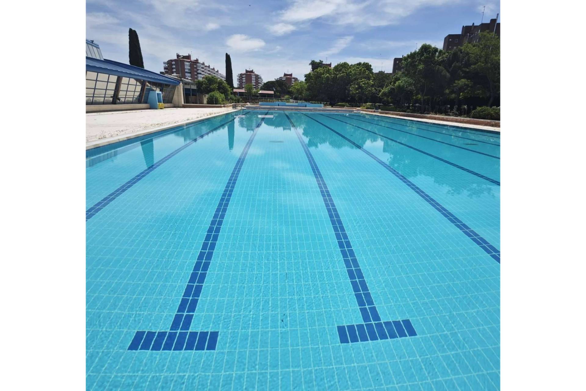 POOL TIGER revoluciona el mantenimiento de piscinas con su tecnología natural y menos productos químicos