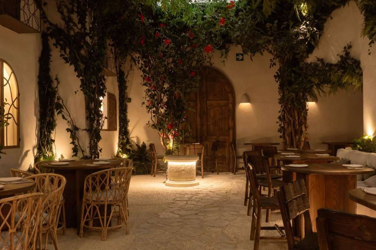 Begin, la cadena de restauración que transforma la viralidad en motor de crecimiento