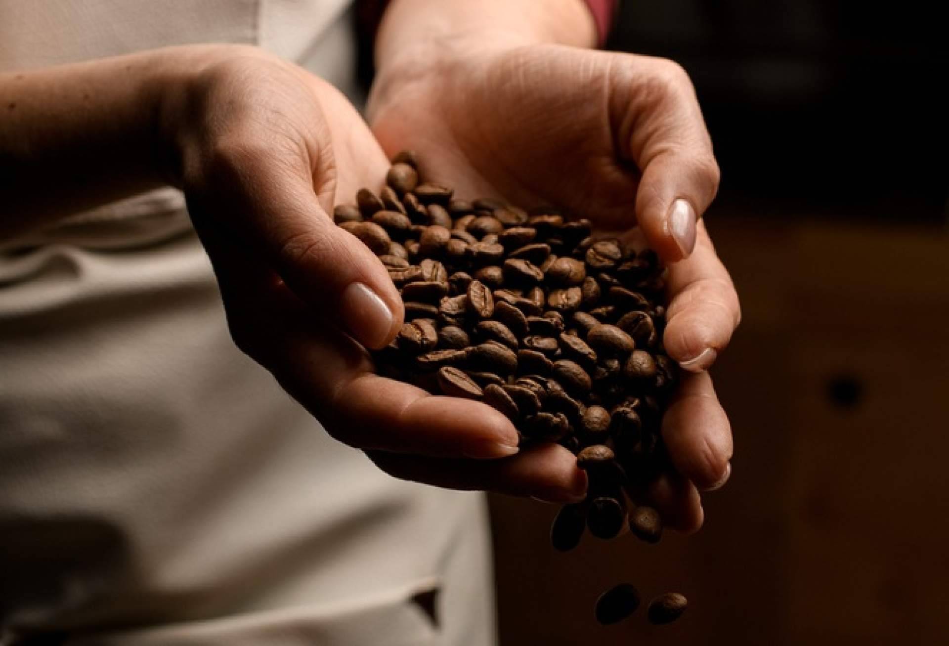 Fresh OCS impulsa el renting de cafeteras para empresas como solución práctica y flexible