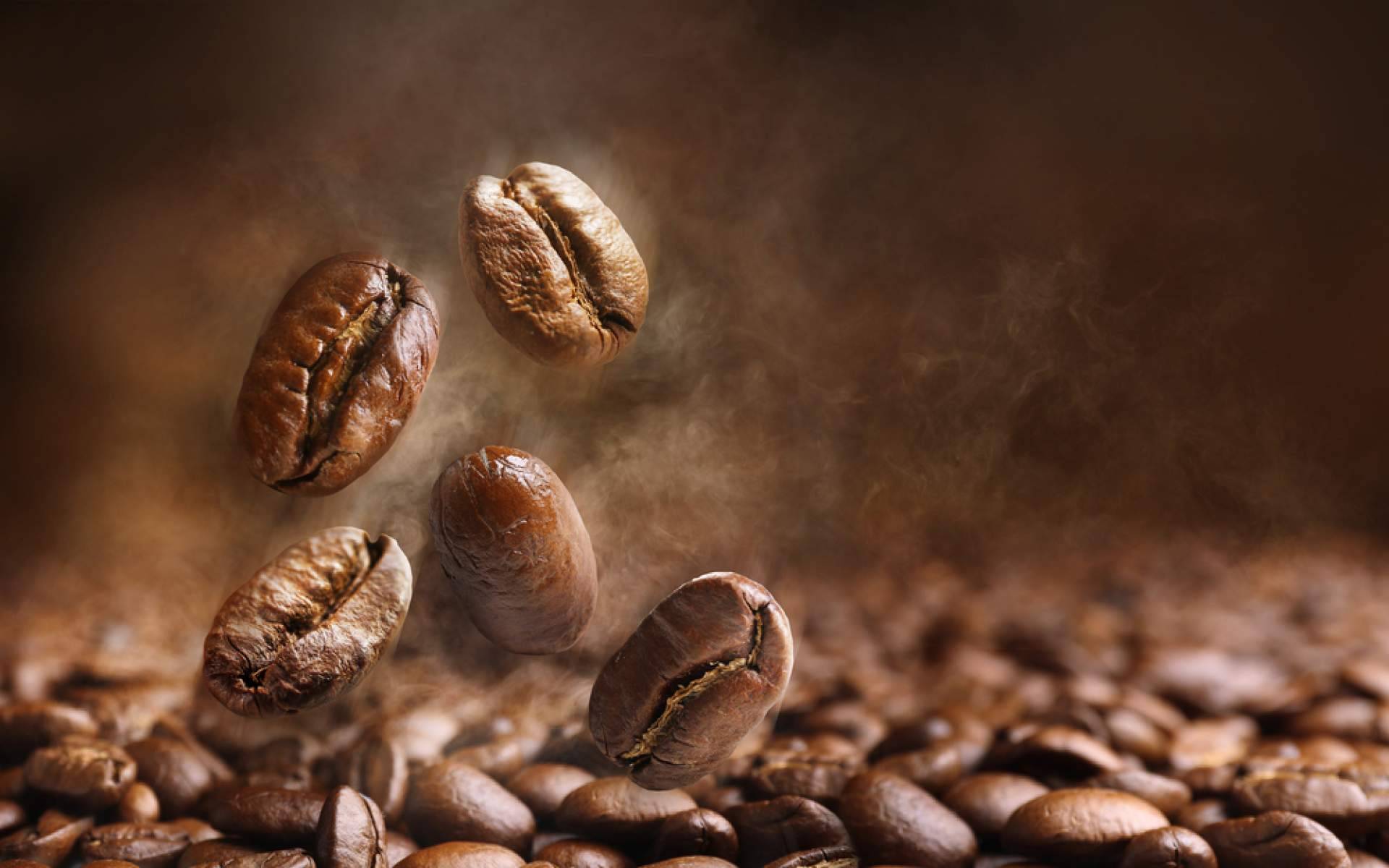 Café de especialidad para oficinas que eleva la experiencia en cada pausa