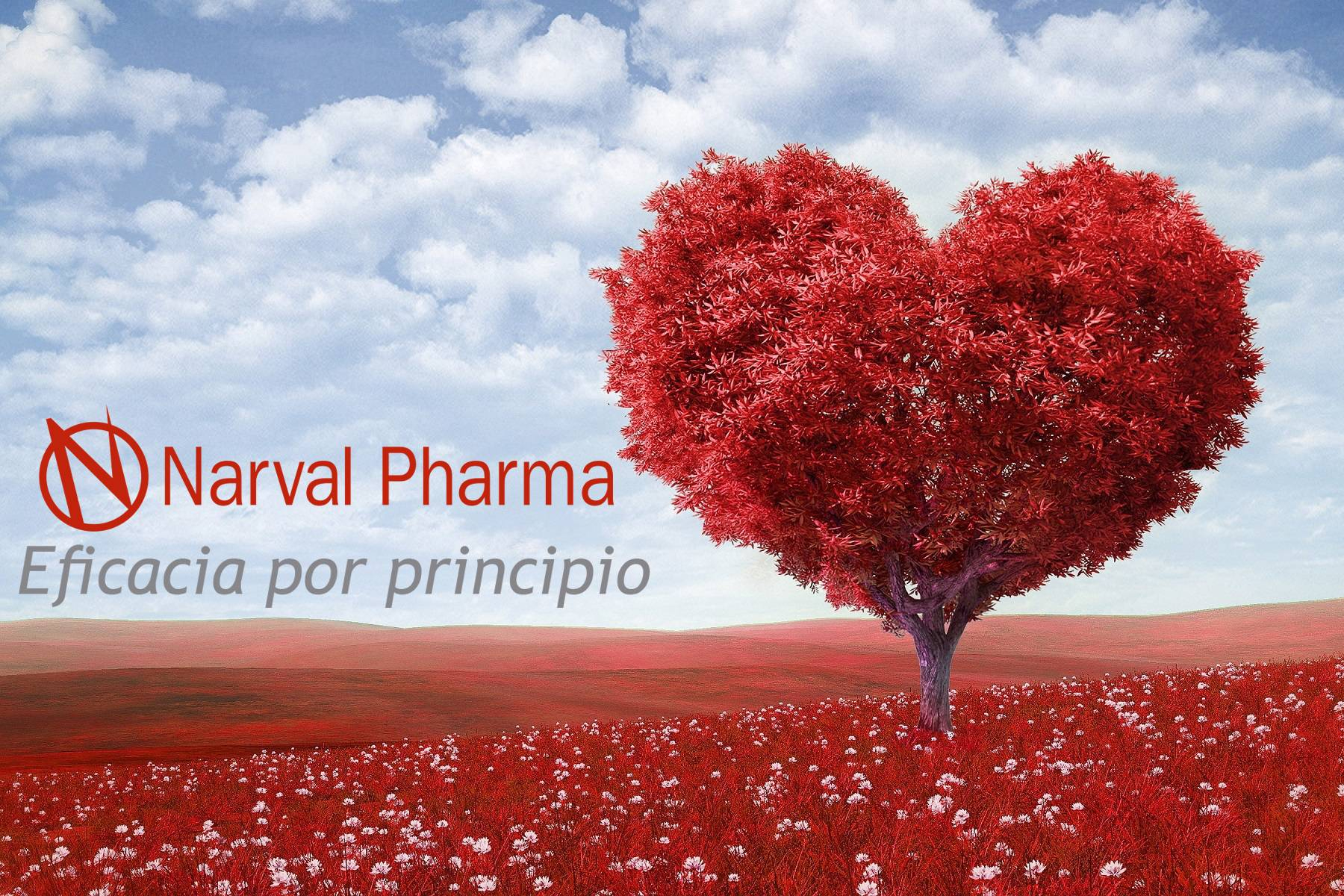 Narval Pharma garantiza nutracéuticos de calidad certificados bajo normas GMP y HACCP