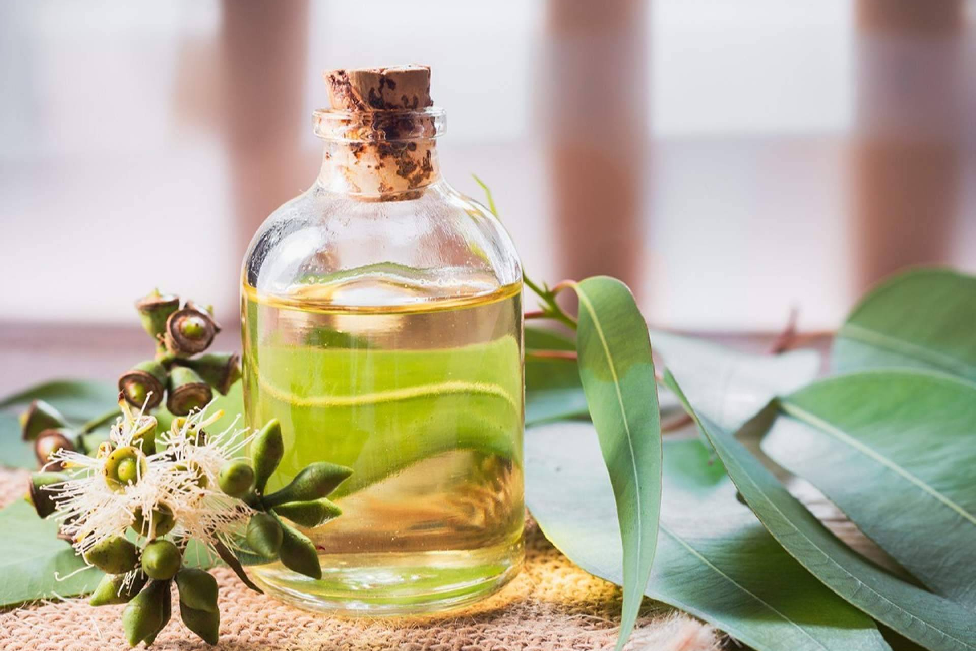 Esenciaspa, la esencia de una sauna; bienestar real con esencias de eucaliptus y de menta