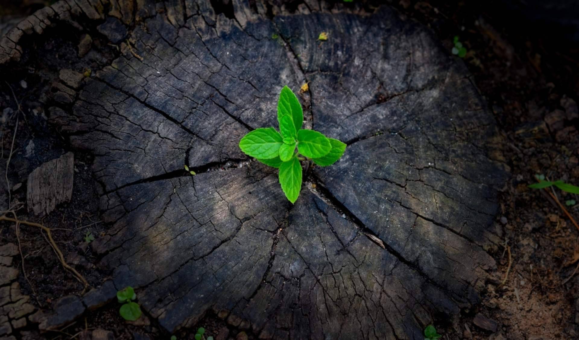 Repara tu Deuda Abogados, fuerza transformadora con la Ley de Segunda Oportunidad en España