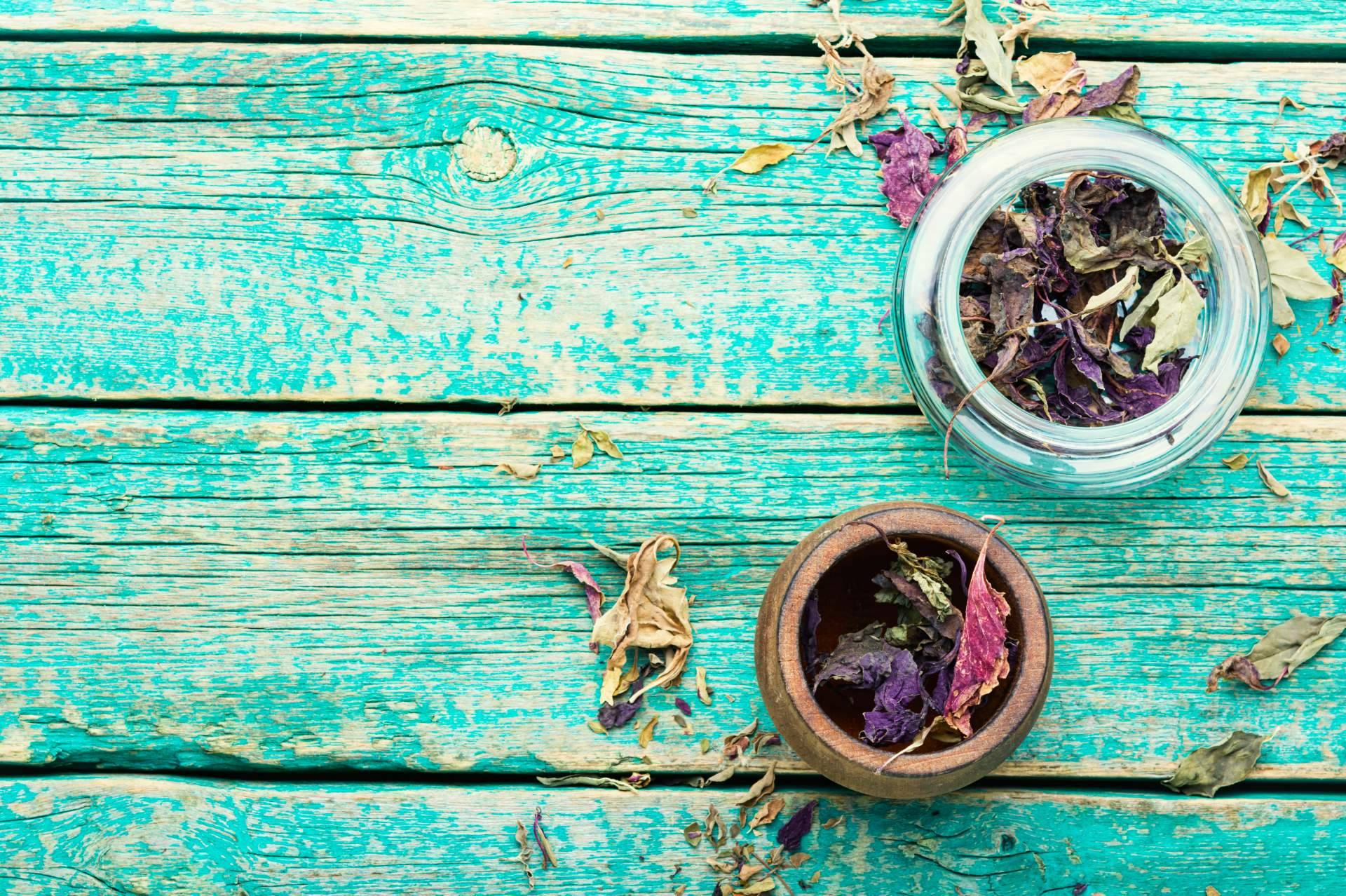 Nace un marketplace nacional de cosmética natural para belleza y cuidado personal, también infantil