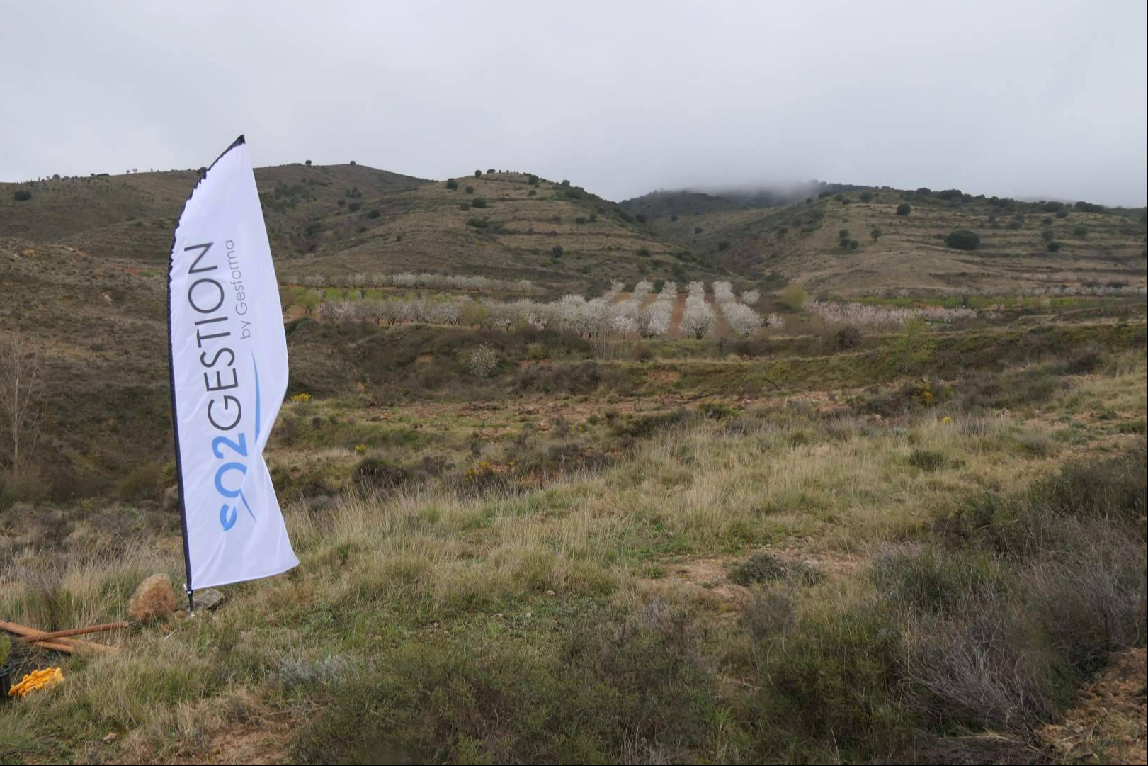 CO2 GESTIÓN certifica proyectos de absorción aptos para el registro del MITERD