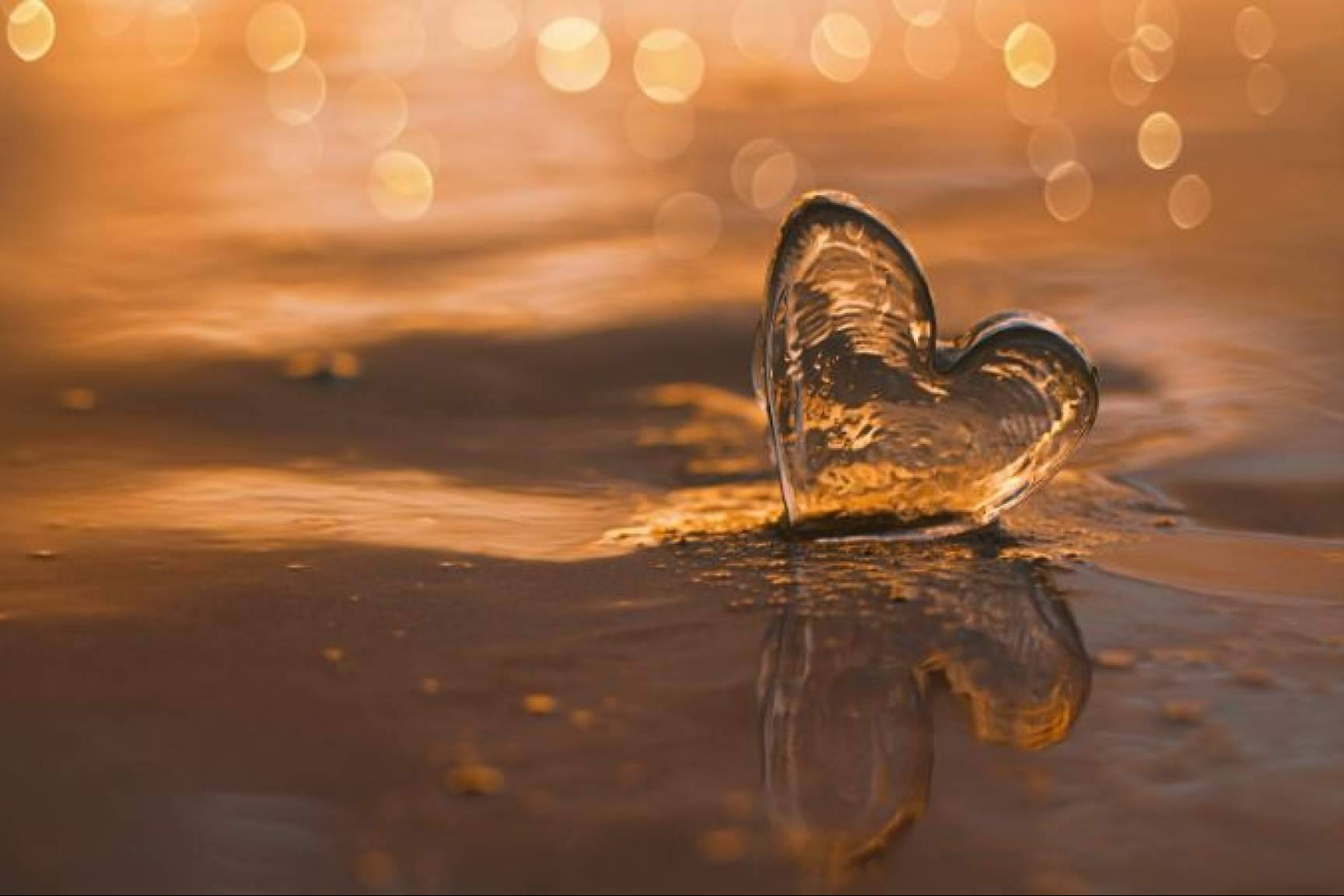 Células deshidratadas, emociones desbordadas