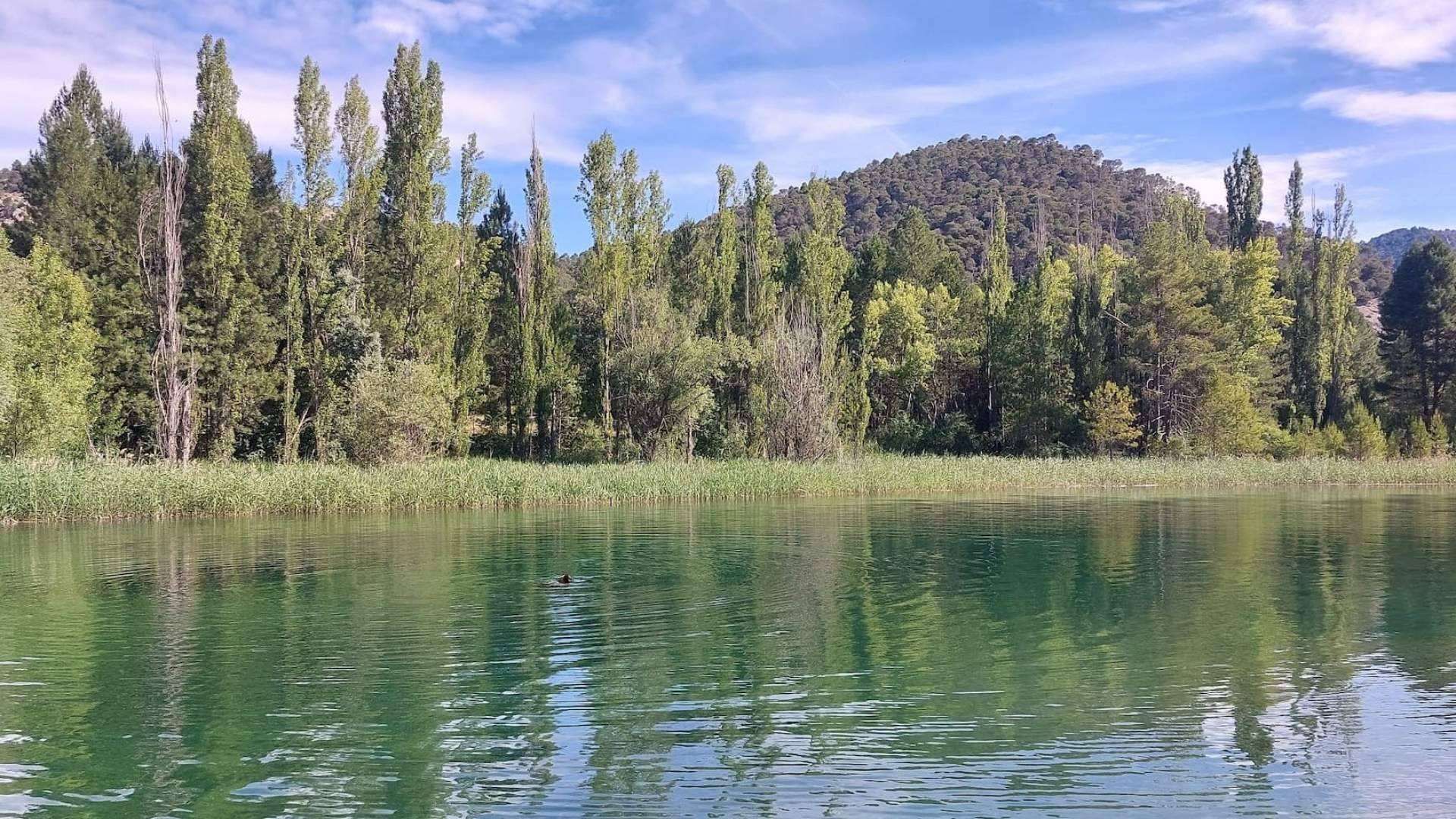 Un oasis natural entre pinares; la playa oculta de Cañamares en Cuenca